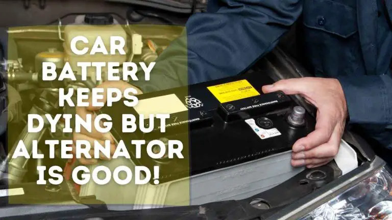 battery dies while alternator is good