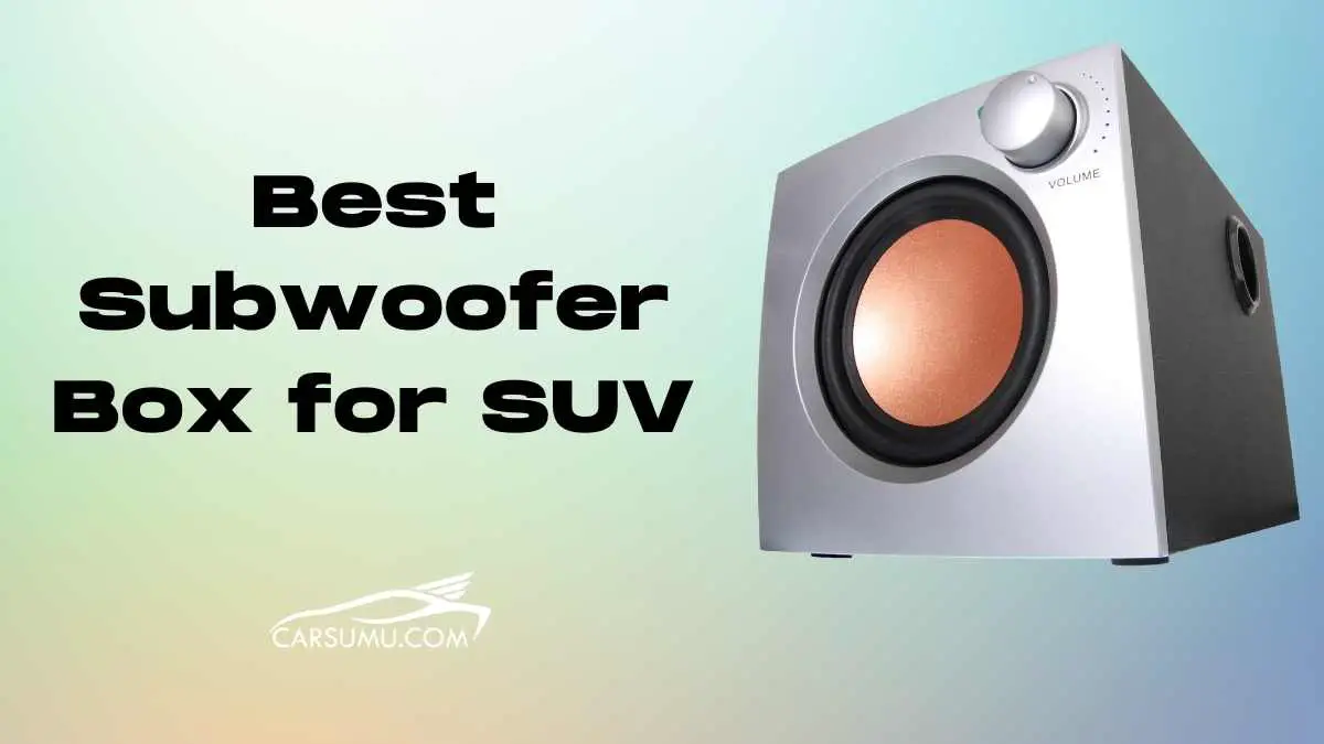 5 Best Subwoofer Box for SUV [Reviewed in 2023]