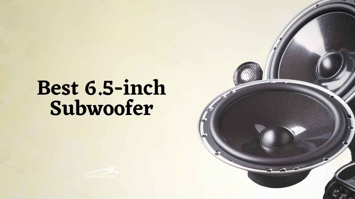 Best 6.5" Subwoofers [Reviewed in 2023] Car Sumu