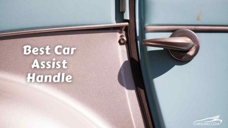 Best Car Assist Handle