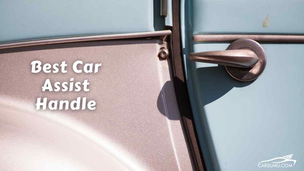 7 Best Car Assist Handle for Seniors [Reviewed in 2022]