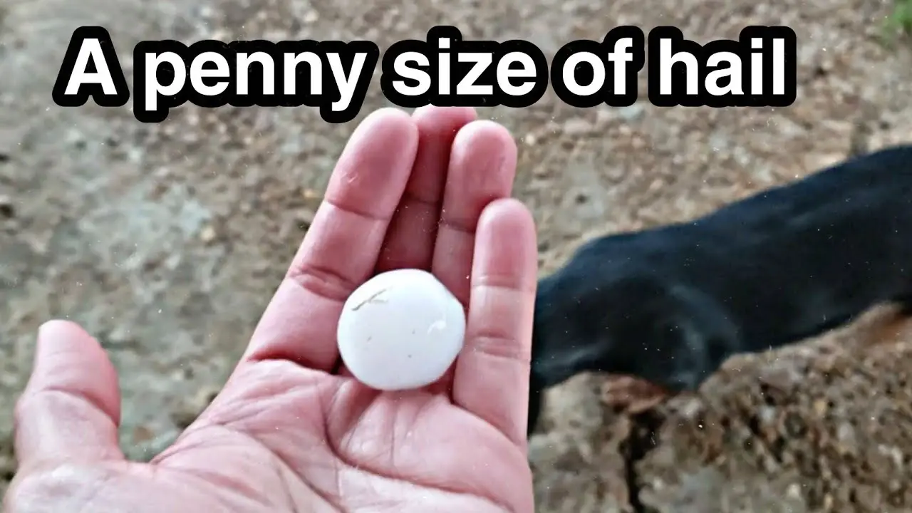 can penny size hail damage a car
