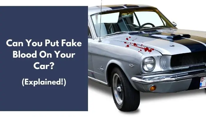 can you put fake blood on your car

